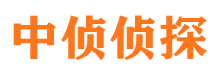 南郊外遇调查取证